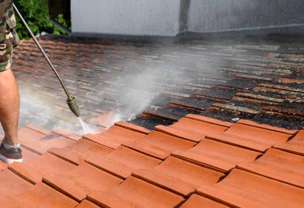 Best Pressure Washing Company Near Me  in Murphys, CA